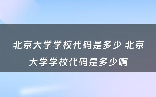 北京大学学校代码是多少 北京大学学校代码是多少啊