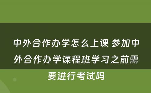 中外合作办学怎么上课 参加中外合作办学课程班学习之前需要进行考试吗