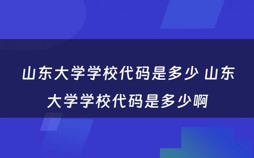 山东大学学校代码是多少 山东大学学校代码是多少啊