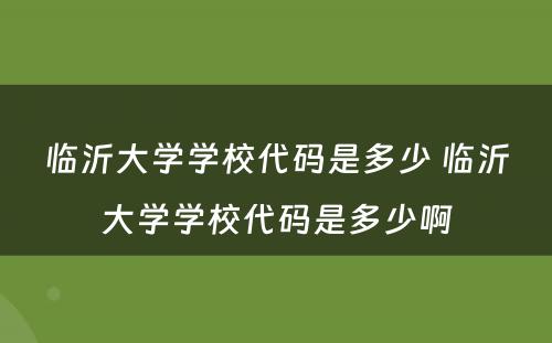 临沂大学学校代码是多少 临沂大学学校代码是多少啊