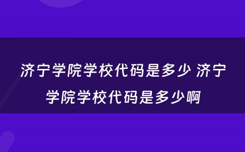 济宁学院学校代码是多少 济宁学院学校代码是多少啊