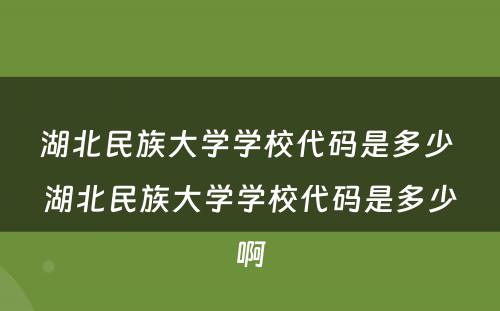 湖北民族大学学校代码是多少 湖北民族大学学校代码是多少啊