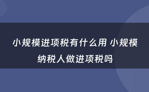 小规模进项税有什么用 小规模纳税人做进项税吗