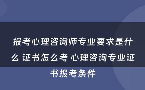 报考心理咨询师专业要求是什么 证书怎么考 心理咨询专业证书报考条件