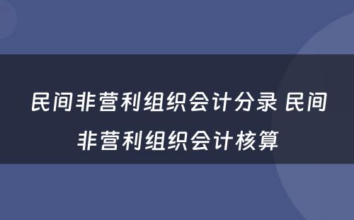 民间非营利组织会计分录 民间非营利组织会计核算