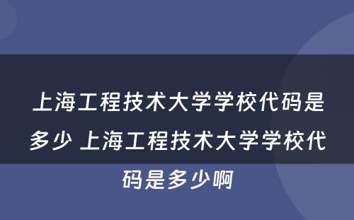 上海工程技术大学学校代码是多少 上海工程技术大学学校代码是多少啊