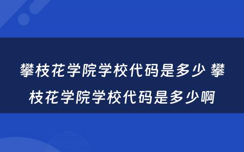 攀枝花学院学校代码是多少 攀枝花学院学校代码是多少啊