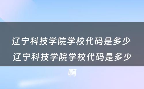 辽宁科技学院学校代码是多少 辽宁科技学院学校代码是多少啊