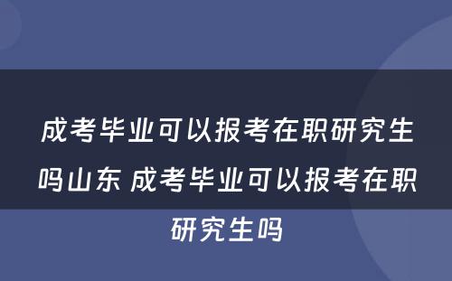 成考毕业可以报考在职研究生吗山东 成考毕业可以报考在职研究生吗