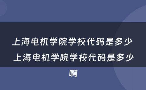 上海电机学院学校代码是多少 上海电机学院学校代码是多少啊