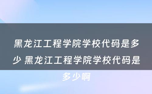 黑龙江工程学院学校代码是多少 黑龙江工程学院学校代码是多少啊