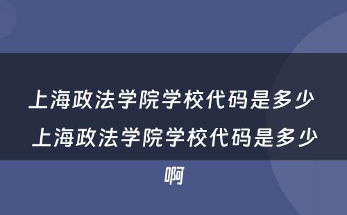 上海政法学院学校代码是多少 上海政法学院学校代码是多少啊