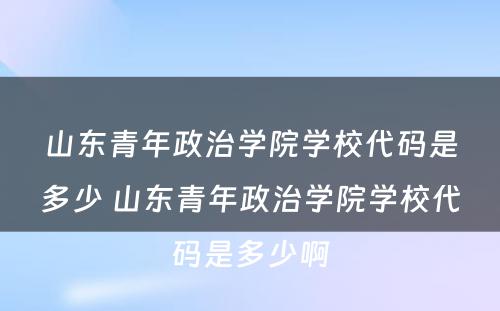 山东青年政治学院学校代码是多少 山东青年政治学院学校代码是多少啊