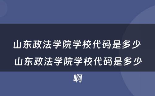 山东政法学院学校代码是多少 山东政法学院学校代码是多少啊