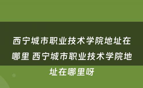 西宁城市职业技术学院地址在哪里 西宁城市职业技术学院地址在哪里呀