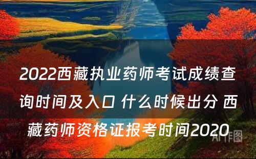 2022西藏执业药师考试成绩查询时间及入口 什么时候出分 西藏药师资格证报考时间2020