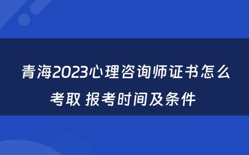 青海2023心理咨询师证书怎么考取 报考时间及条件 