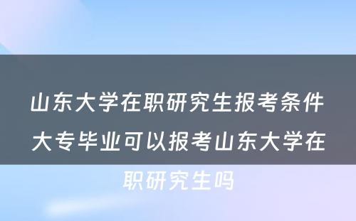 山东大学在职研究生报考条件 大专毕业可以报考山东大学在职研究生吗