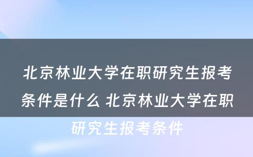北京林业大学在职研究生报考条件是什么 北京林业大学在职研究生报考条件