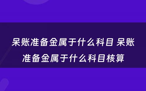 呆账准备金属于什么科目 呆账准备金属于什么科目核算