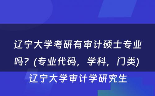 辽宁大学考研有审计硕士专业吗？(专业代码，学科，门类) 辽宁大学审计学研究生