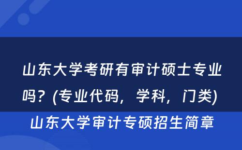 山东大学考研有审计硕士专业吗？(专业代码，学科，门类) 山东大学审计专硕招生简章