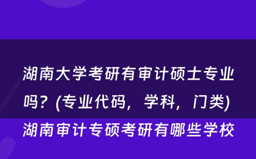 湖南大学考研有审计硕士专业吗？(专业代码，学科，门类) 湖南审计专硕考研有哪些学校