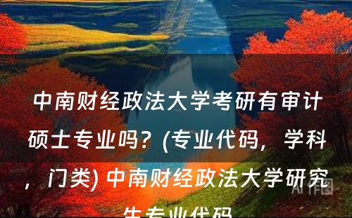 中南财经政法大学考研有审计硕士专业吗？(专业代码，学科，门类) 中南财经政法大学研究生专业代码