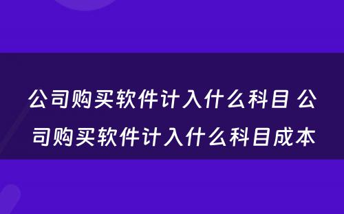 公司购买软件计入什么科目 公司购买软件计入什么科目成本