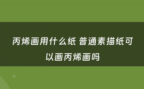丙烯画用什么纸 普通素描纸可以画丙烯画吗