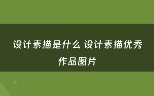 设计素描是什么 设计素描优秀作品图片