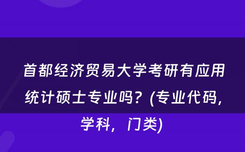 首都经济贸易大学考研有应用统计硕士专业吗？(专业代码，学科，门类) 