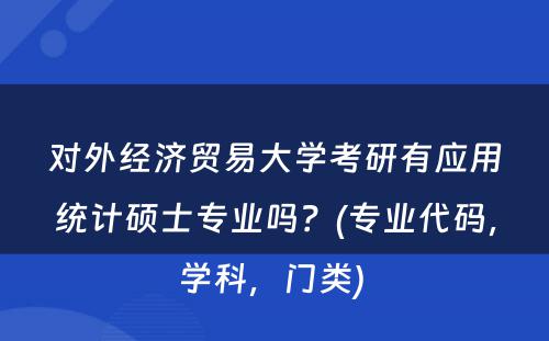 对外经济贸易大学考研有应用统计硕士专业吗？(专业代码，学科，门类) 