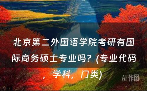 北京第二外国语学院考研有国际商务硕士专业吗？(专业代码，学科，门类) 