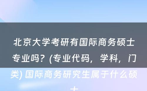 北京大学考研有国际商务硕士专业吗？(专业代码，学科，门类) 国际商务研究生属于什么硕士