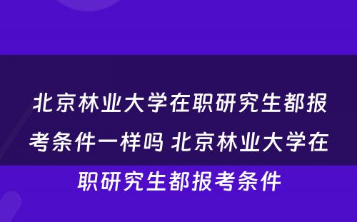 北京林业大学在职研究生都报考条件一样吗 北京林业大学在职研究生都报考条件