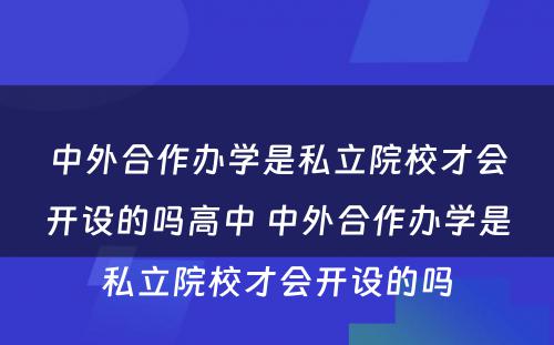 中外合作办学是私立院校才会开设的吗高中 中外合作办学是私立院校才会开设的吗