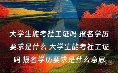 大学生能考社工证吗 报名学历要求是什么 大学生能考社工证吗 报名学历要求是什么意思