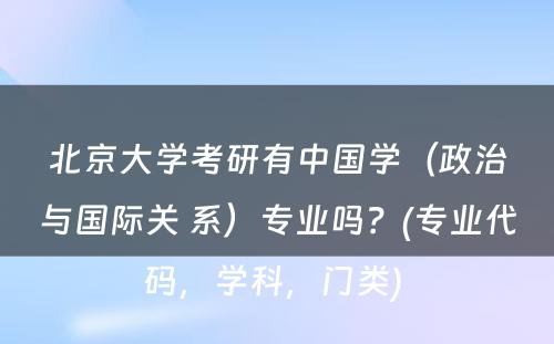 北京大学考研有中国学（政治与国际关 系）专业吗？(专业代码，学科，门类) 