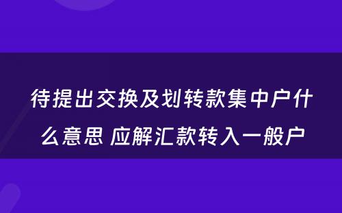 待提出交换及划转款集中户什么意思 应解汇款转入一般户