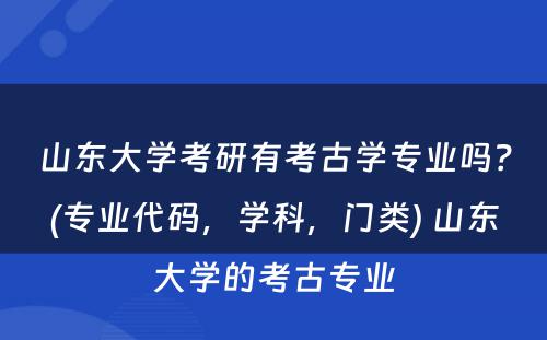 山东大学考研有考古学专业吗？(专业代码，学科，门类) 山东大学的考古专业