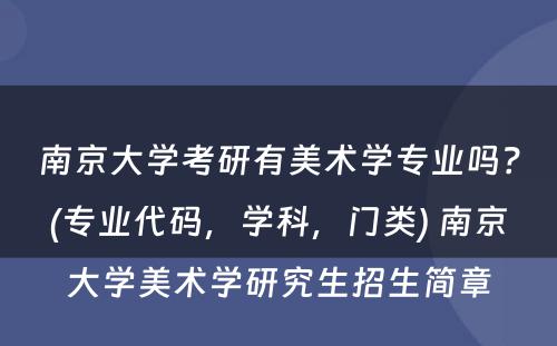 南京大学考研有美术学专业吗？(专业代码，学科，门类) 南京大学美术学研究生招生简章