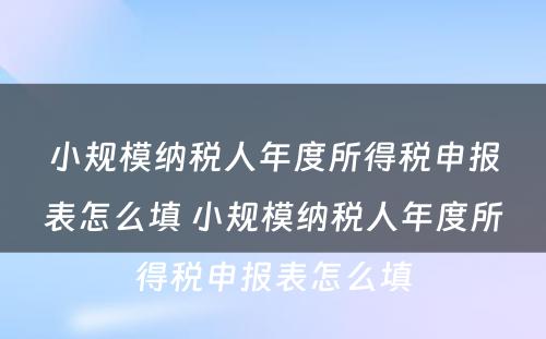 小规模纳税人年度所得税申报表怎么填 小规模纳税人年度所得税申报表怎么填