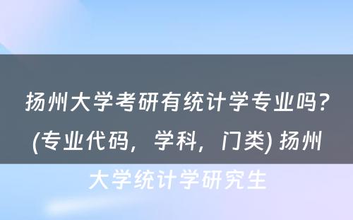 扬州大学考研有统计学专业吗？(专业代码，学科，门类) 扬州大学统计学研究生