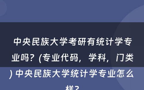 中央民族大学考研有统计学专业吗？(专业代码，学科，门类) 中央民族大学统计学专业怎么样?