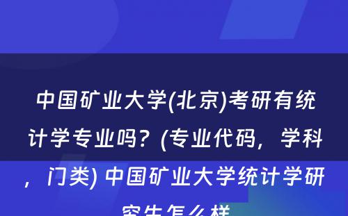 中国矿业大学(北京)考研有统计学专业吗？(专业代码，学科，门类) 中国矿业大学统计学研究生怎么样