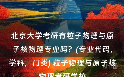 北京大学考研有粒子物理与原子核物理专业吗？(专业代码，学科，门类) 粒子物理与原子核物理考研学校