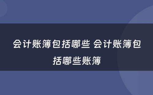 会计账簿包括哪些 会计账簿包括哪些账簿