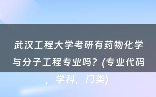 武汉工程大学考研有药物化学与分子工程专业吗？(专业代码，学科，门类) 