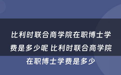 比利时联合商学院在职博士学费是多少呢 比利时联合商学院在职博士学费是多少